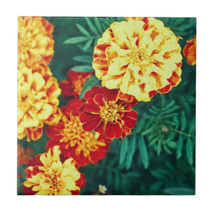 Happy Bright Marigold Flowers Floral Tegeltje