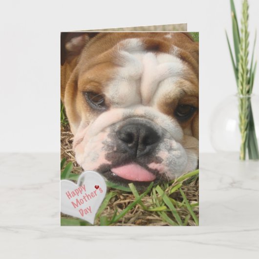 Happy Bulldog moederdag Kaart (Voorkant)