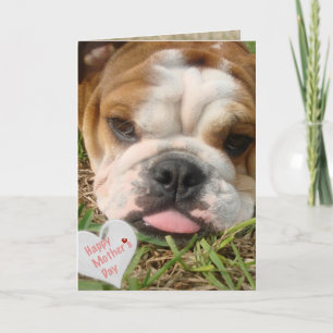 Happy Bulldog moederdag Kaart