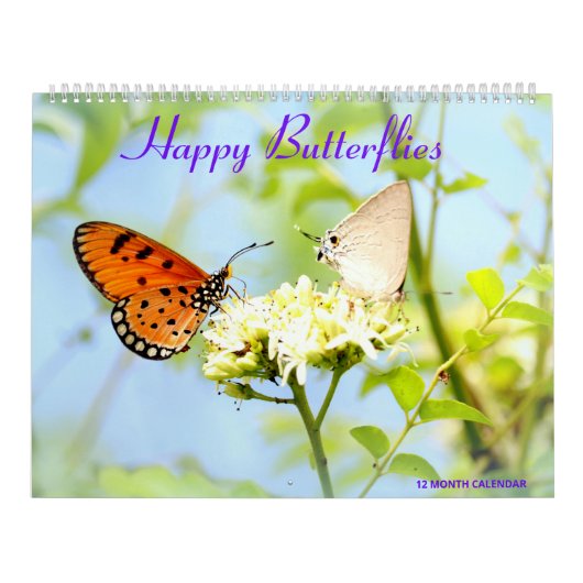 Happy Butterflies Kalender (Hoes)