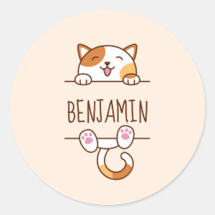 Happy Calico Cat Peking achter de douanenaam Ronde Sticker