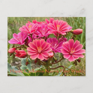 Happy California Native Plant Week! Briefkaart