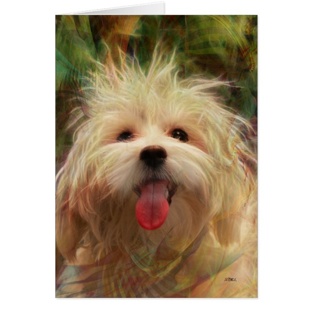 Happy Camper (Voorkant)