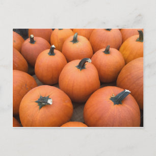 Happy Carving Briefkaart