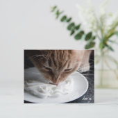 Happy cat briefkaart (Staand voorkant)