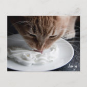 Happy cat briefkaart (Voorkant)