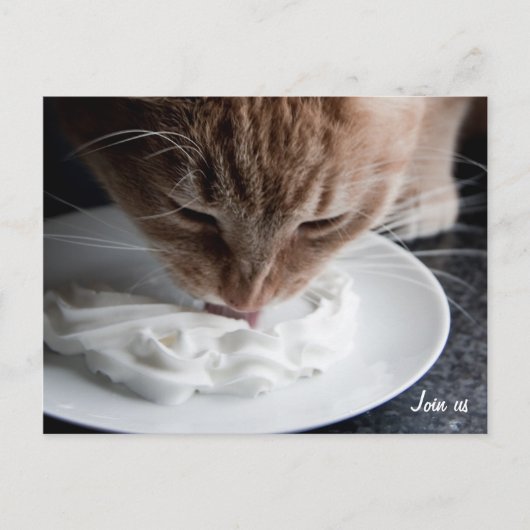 Happy cat briefkaart (Voorkant)