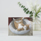 Happy Cat Briefkaart (Staand voorkant)