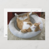 Happy Cat Briefkaart (Voorkant / Achterkant)