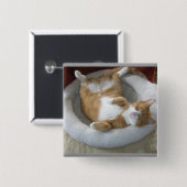 Happy Cat Vierkante Button 5,1 Cm (Voorkant /achterkant)