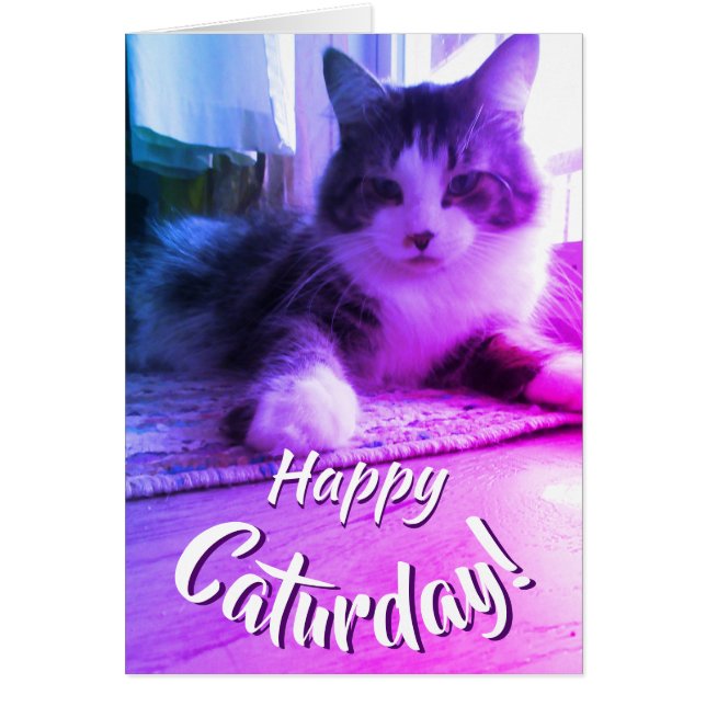 Happy Caturday Cute Purple Chat (Devant)