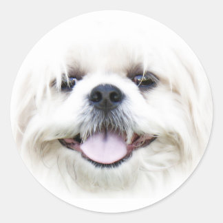 Happy chien autocollant visage