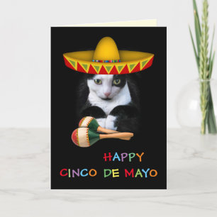 Happy Cinco De Mayo Cat Kaart
