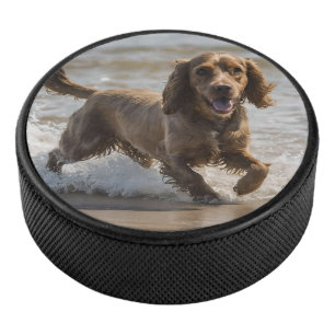 Happy Cocker Spaniel Beach Fun Day, Hockey Puck