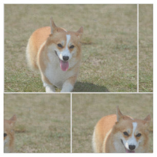 Happy Corgi Stof