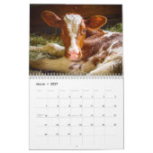 Happy Cows ~ 2013 Cow Calendar Kalender (Mar 2027)