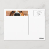 Happy Dog Briefkaart (Achterkant)