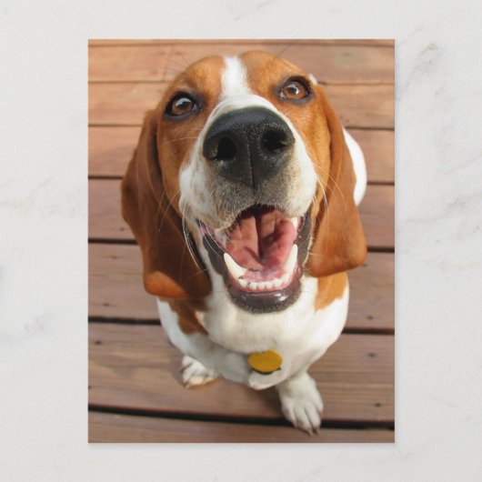 Happy Dog Briefkaart (Voorkant)