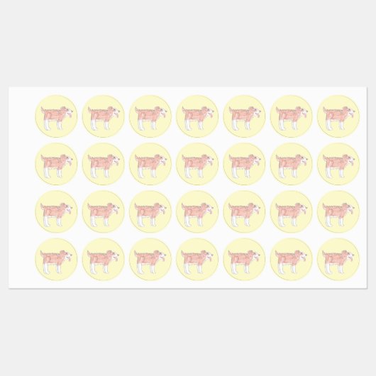 Happy Dog Clothing Labels (Vel)