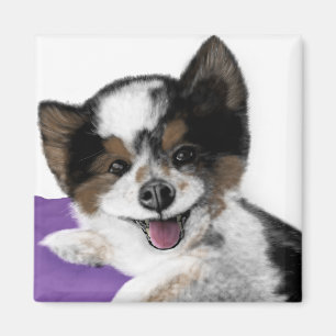 Happy Dog Face Magneet