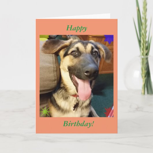 Happy Dog German Shepherd Birthday Card Kaart (Voorkant)