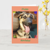 Happy Dog German Shepherd Birthday Card Kaart (Gele Bloem)