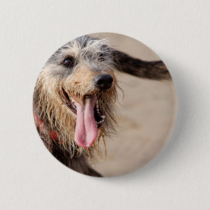 Happy dog op het strand ronde button 5,7 cm