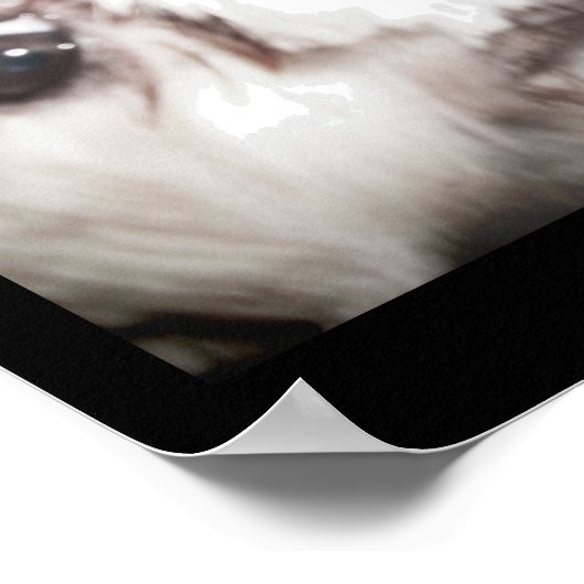 Happy Dog Poster (Coin)