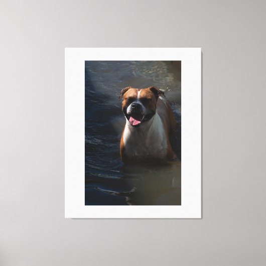 Happy Dog Swimming Canvas Afdruk (Voorkant)