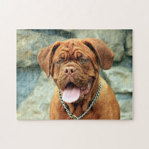 Happy Dogue de Bordeaux Legpuzzel