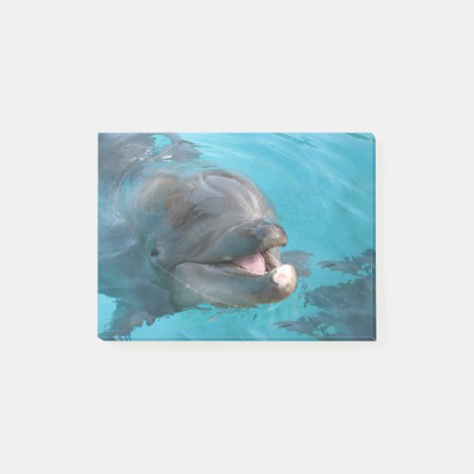 Happy Dolphin Post-it® Notes (Voorkant)
