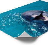 Happy Dolphin Poster (Hoek)