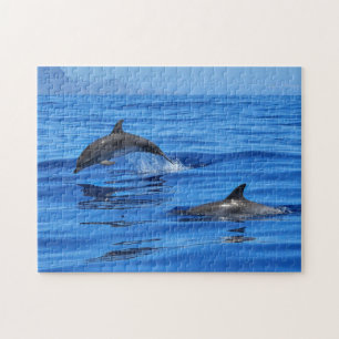Happy Dolphins Legpuzzel