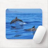 Happy Dolphins Muismat (Met muis)