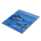 Happy Dolphins Tegeltje (Zijkant)