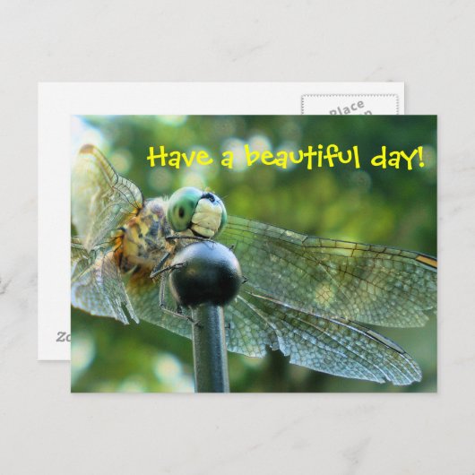 Happy Dragonfly Briefkaart (Voorkant / Achterkant)