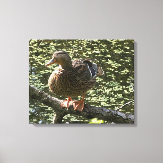 Happy Duck Canvas Afdruk (Voorkant)