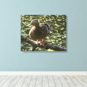 Happy Duck Canvas Afdruk (Insitu (Houten vloer))