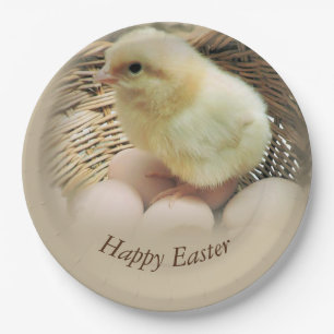 Happy Easter Baby Chick in een mandje Papieren Bordje
