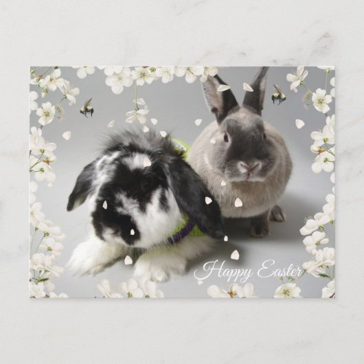 Happy Easter Briefkaart (Voorkant)