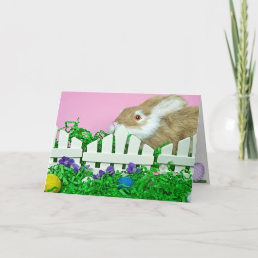 Happy Easter Bunny Feestdagen Kaart (Voorkant)