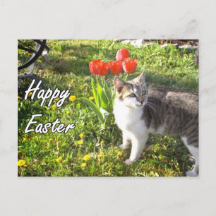Happy Easter Cat briefkaart