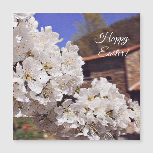Happy Easter. Cherry Blossom. (Voorkant)