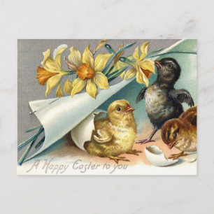  Happy Easter Chicken en Daffodils Feestdagenkaart