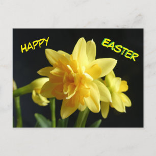 Happy Easter Dubbelbloemige narcissen Briefkaart