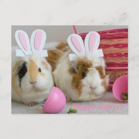 happy easter feestdagenkaart (Voorkant)