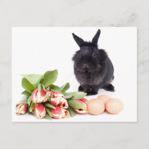 Happy Easter Feestdagenkaart