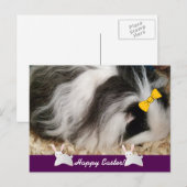 Happy Easter Guinea Pig Feestdagenkaart (Voorkant / Achterkant)
