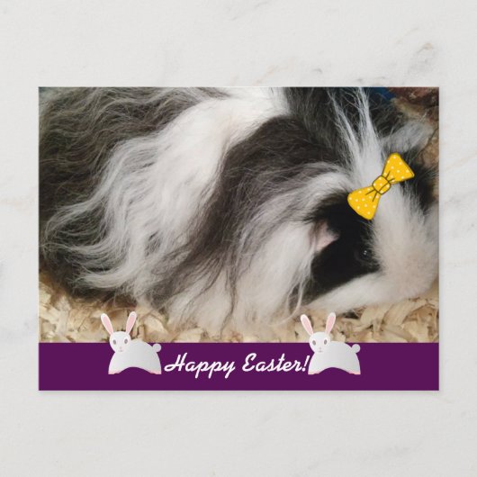 Happy Easter Guinea Pig Feestdagenkaart (Voorkant)