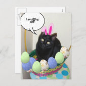 Happy Easter Kat Feestdagenkaart (Voorkant / Achterkant)